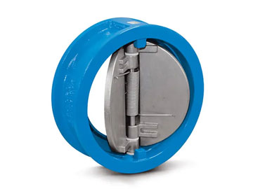 Dual Plate Check Valve in ahmedabad, gujarat