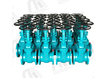 Piston Check Valve manufacturer