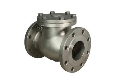 Swing Check Valve Manufacturers in India