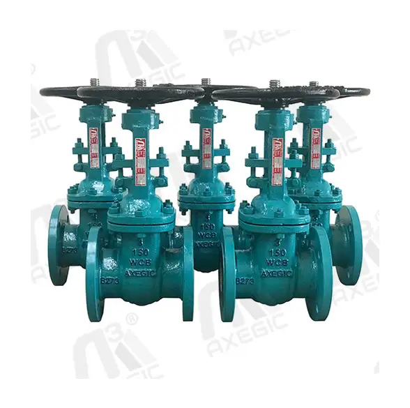gate Valve Manufacturer