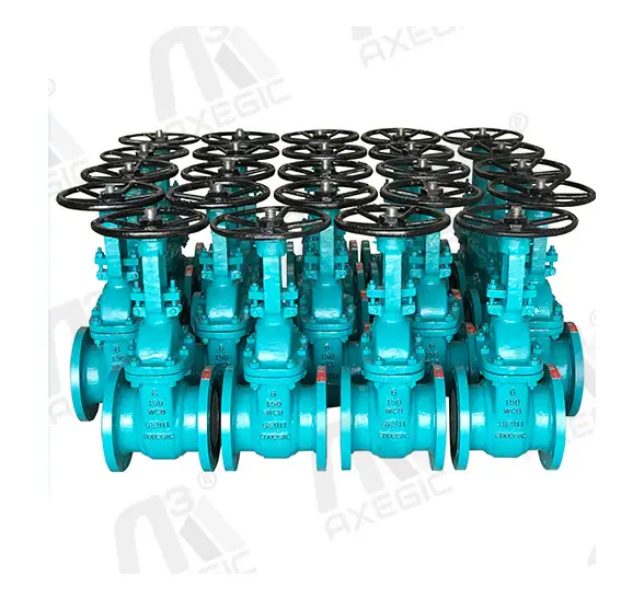 jacketed type gate Valve Manufacturer