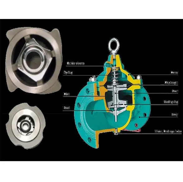 spring-loaded-non-slam-check-valve